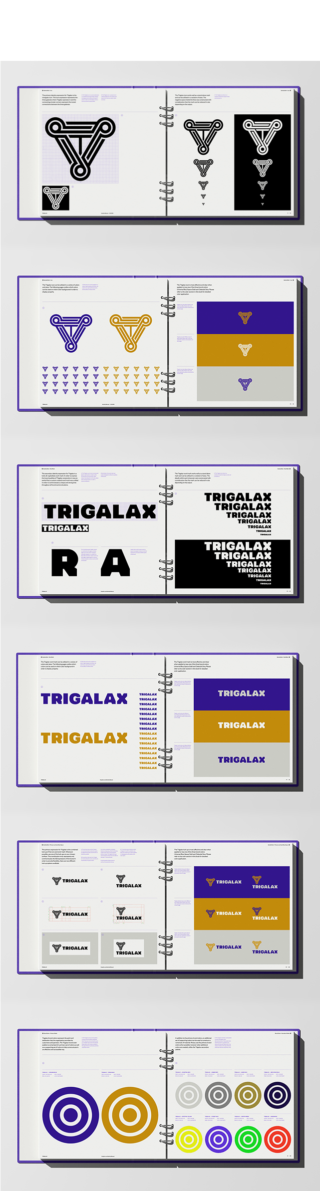04_Trigalax-Space-Branding-guidelines-02-M