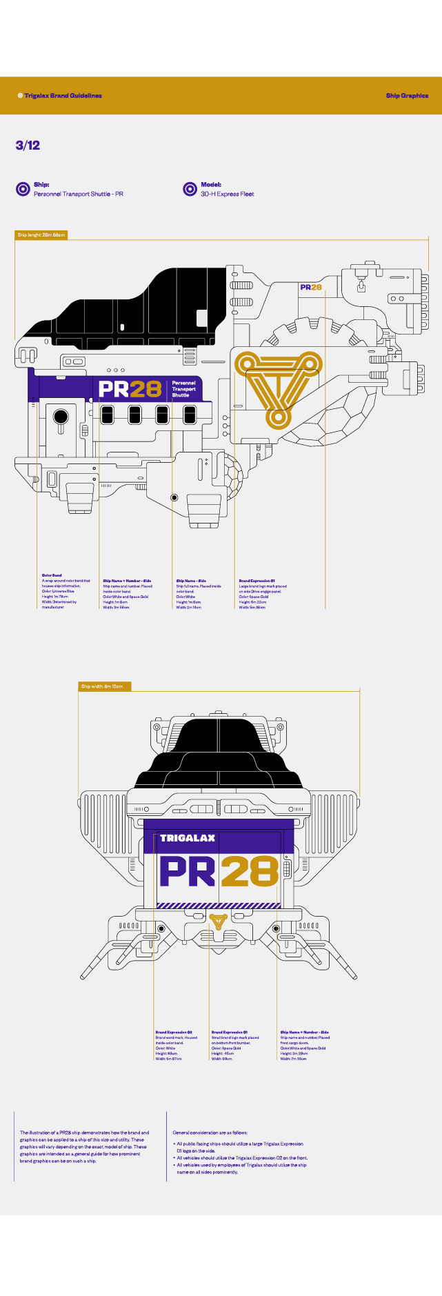 10_Trigalax-Space-Branding-Ship-Graphics-M